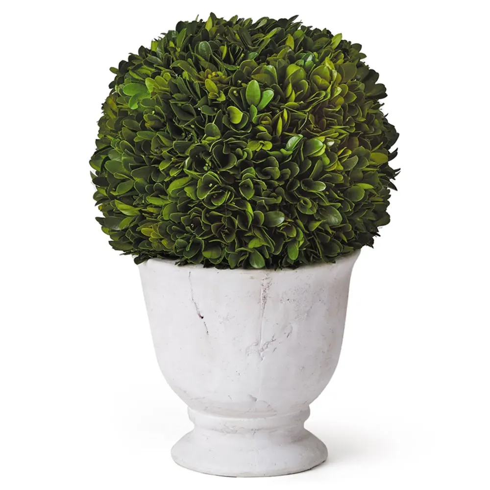 Landon Large Ball Potted Topiary - Green, Boxwood