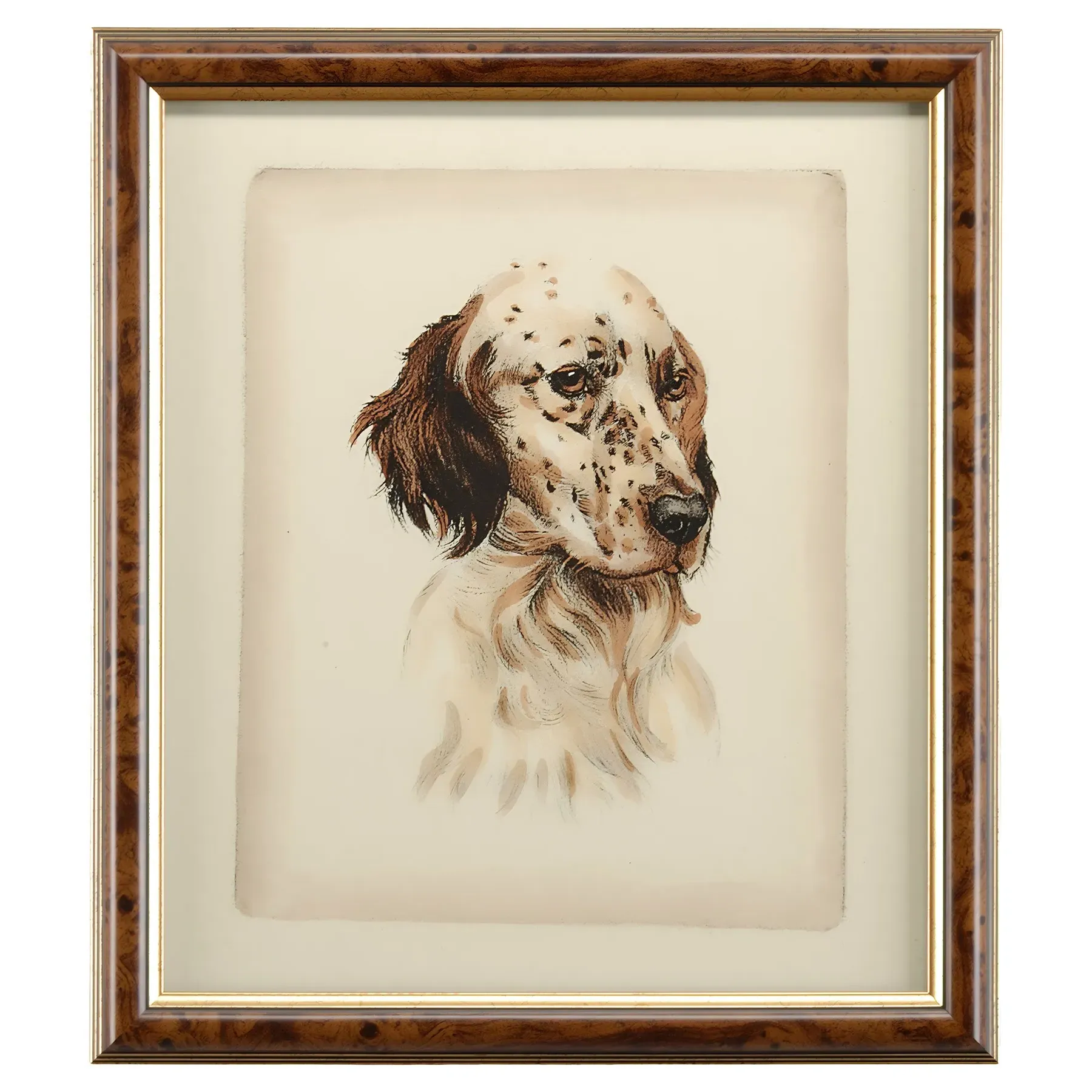 Lazlo Setter Dog Frame Illustration - Brown image