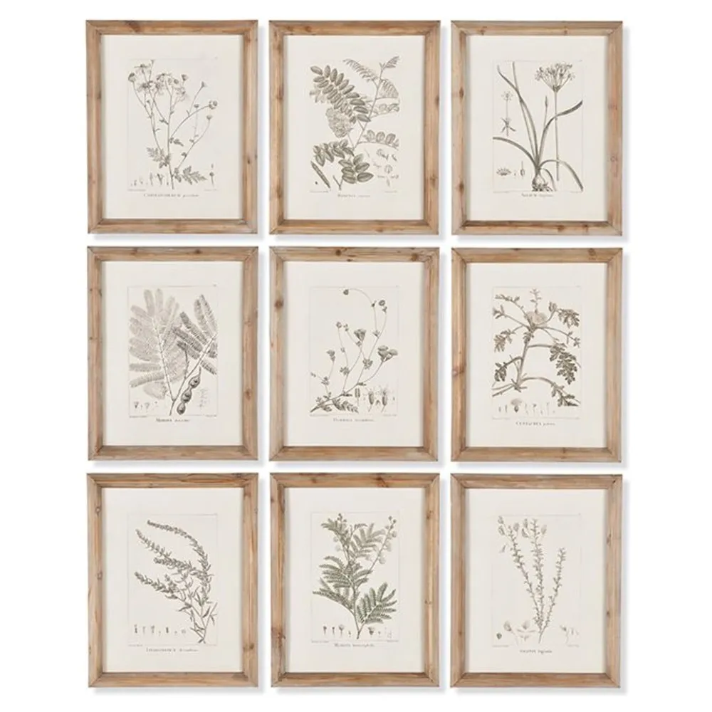 Ling Floral Botanical Frame Illustration Set - Brown
