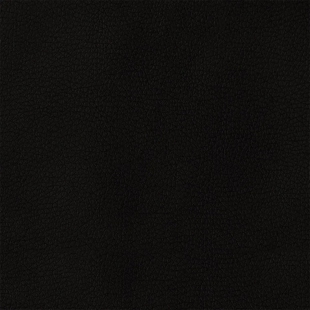 Linnea Queen Size Wingback Bed - Black, Iron