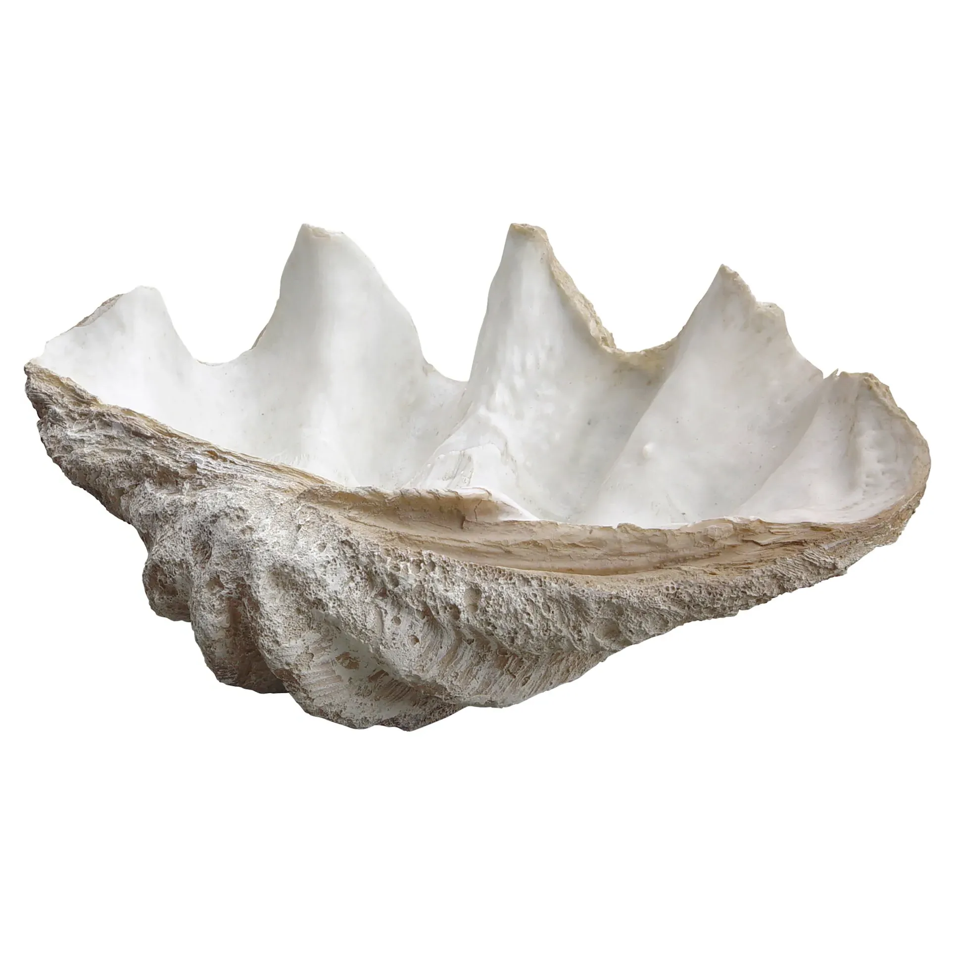 Lombock 28W Clam Shell Ornament - Ivory