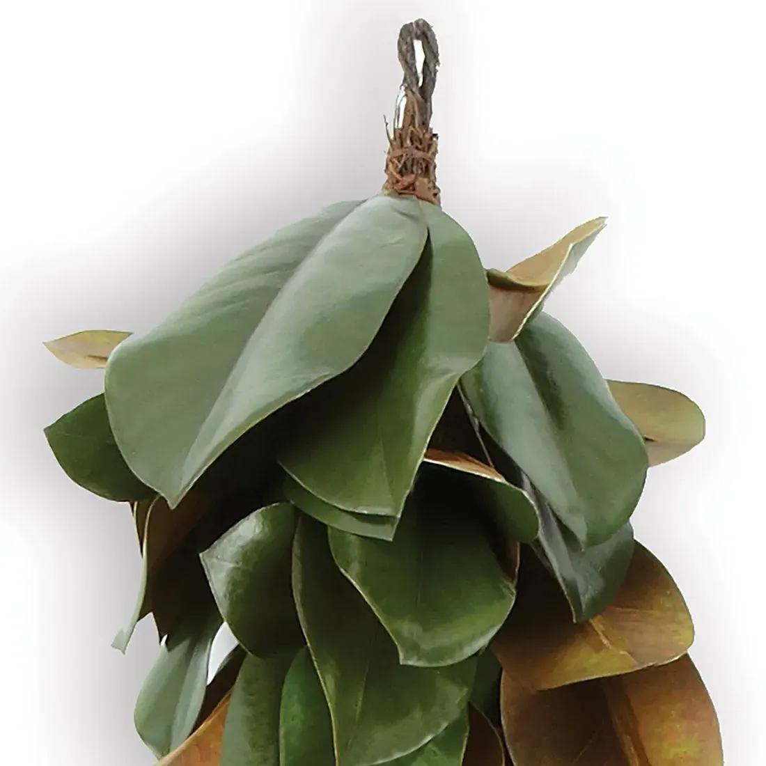 Louisa Magnolia Garland - Green