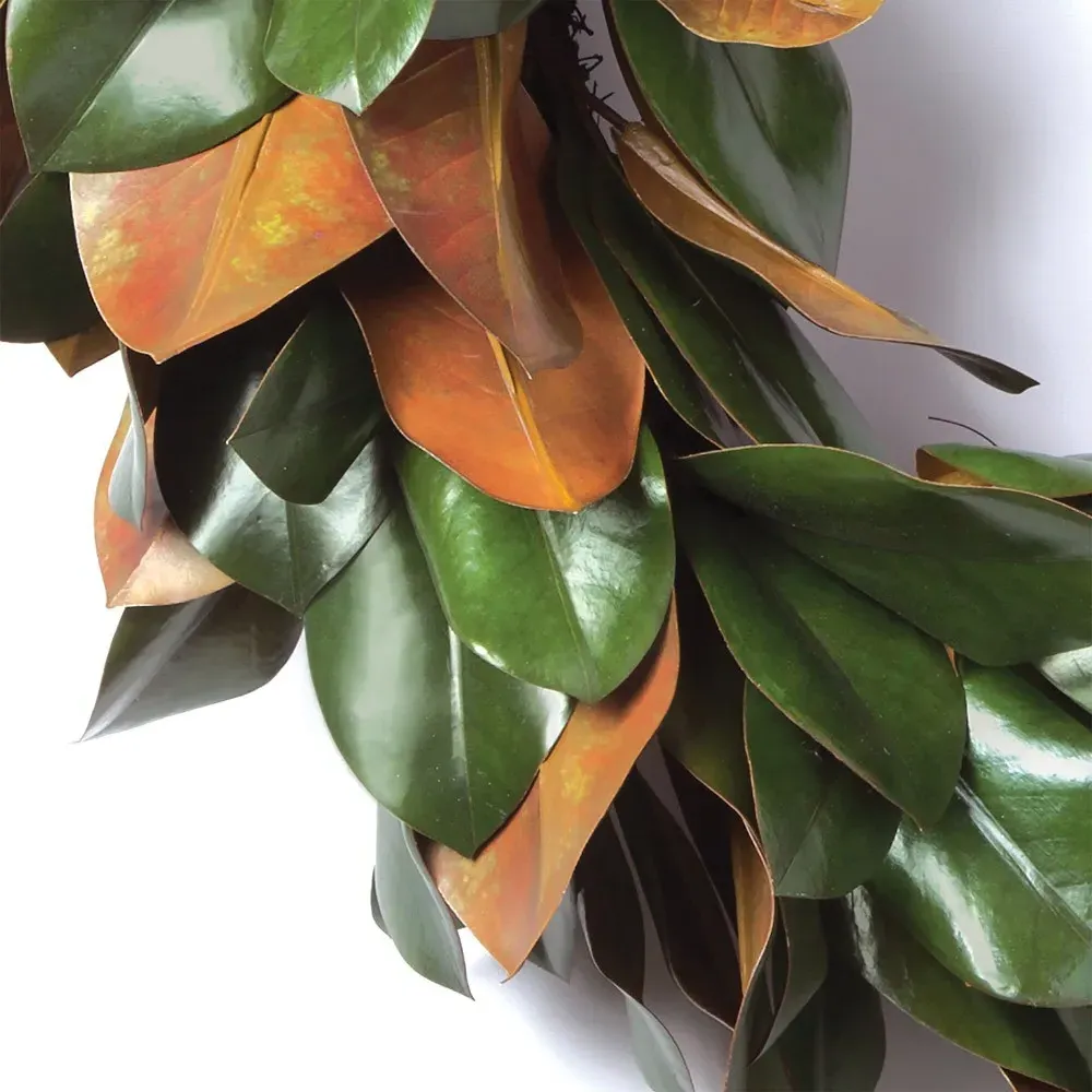 Louisa Magnolia Wreath - Green