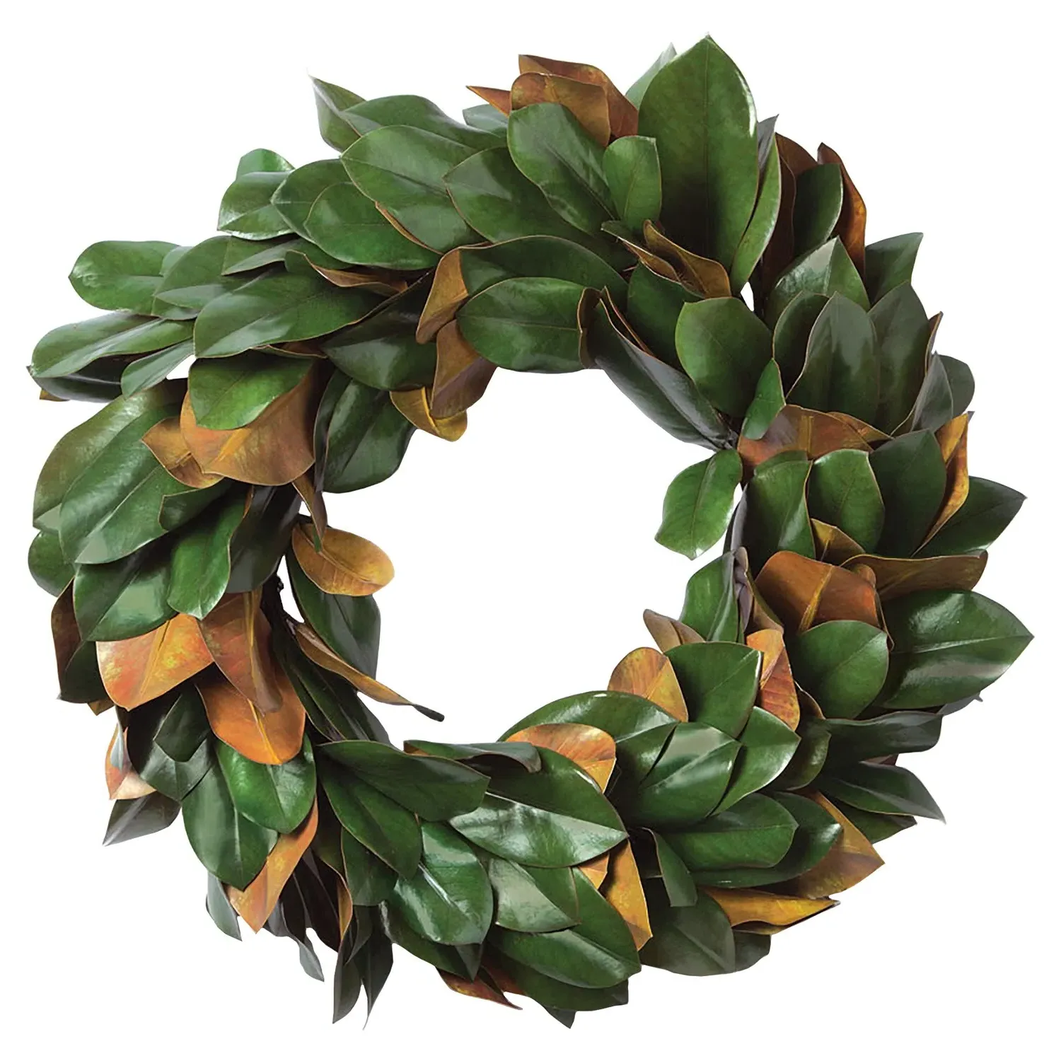 Louisa Magnolia Wreath - Green image