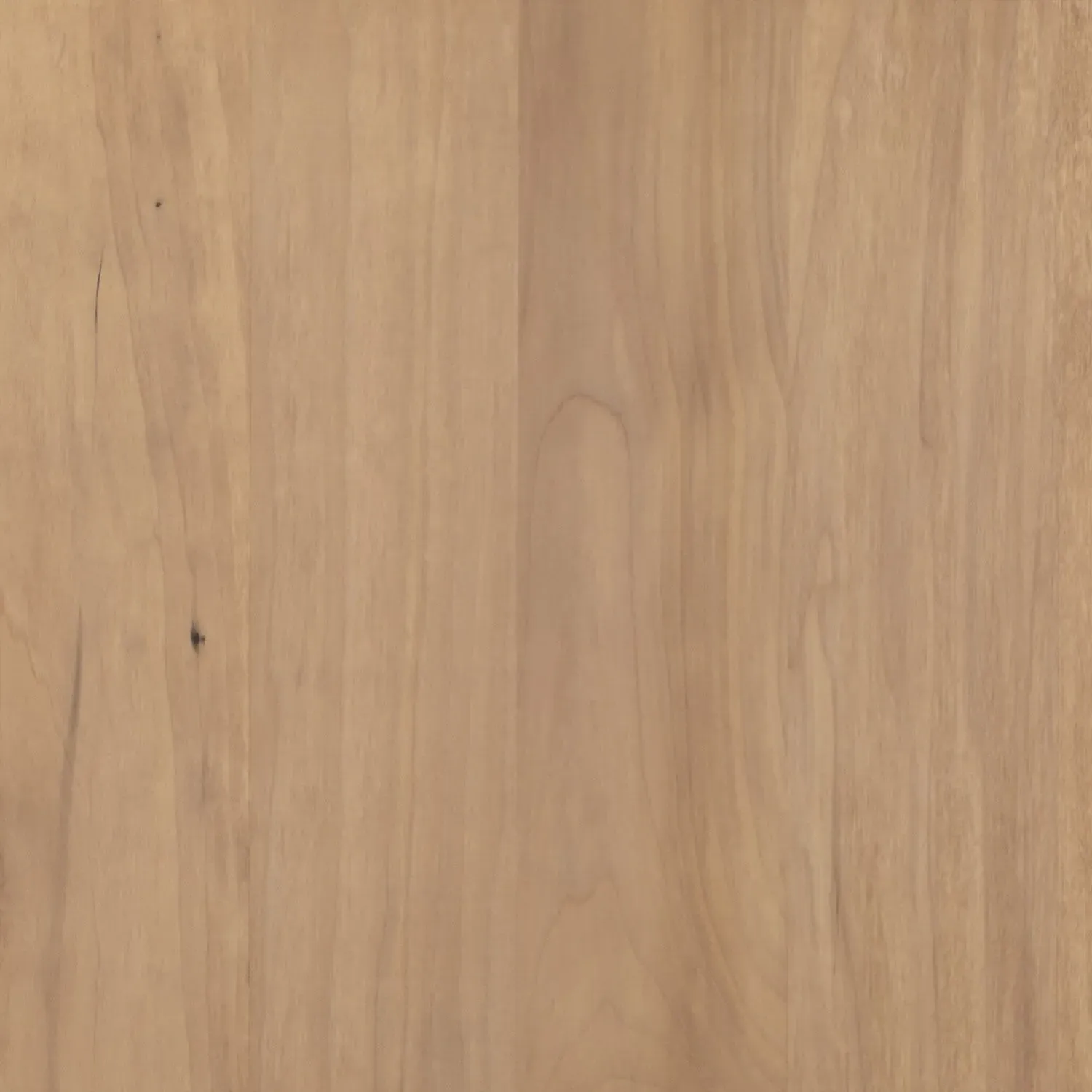 Luca 2 Drawer 3 Door Media Console - Beige, Wood