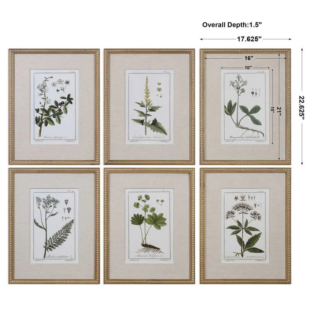 Lunara Botanical Gold Leaf Frame Illustration Set - Beige