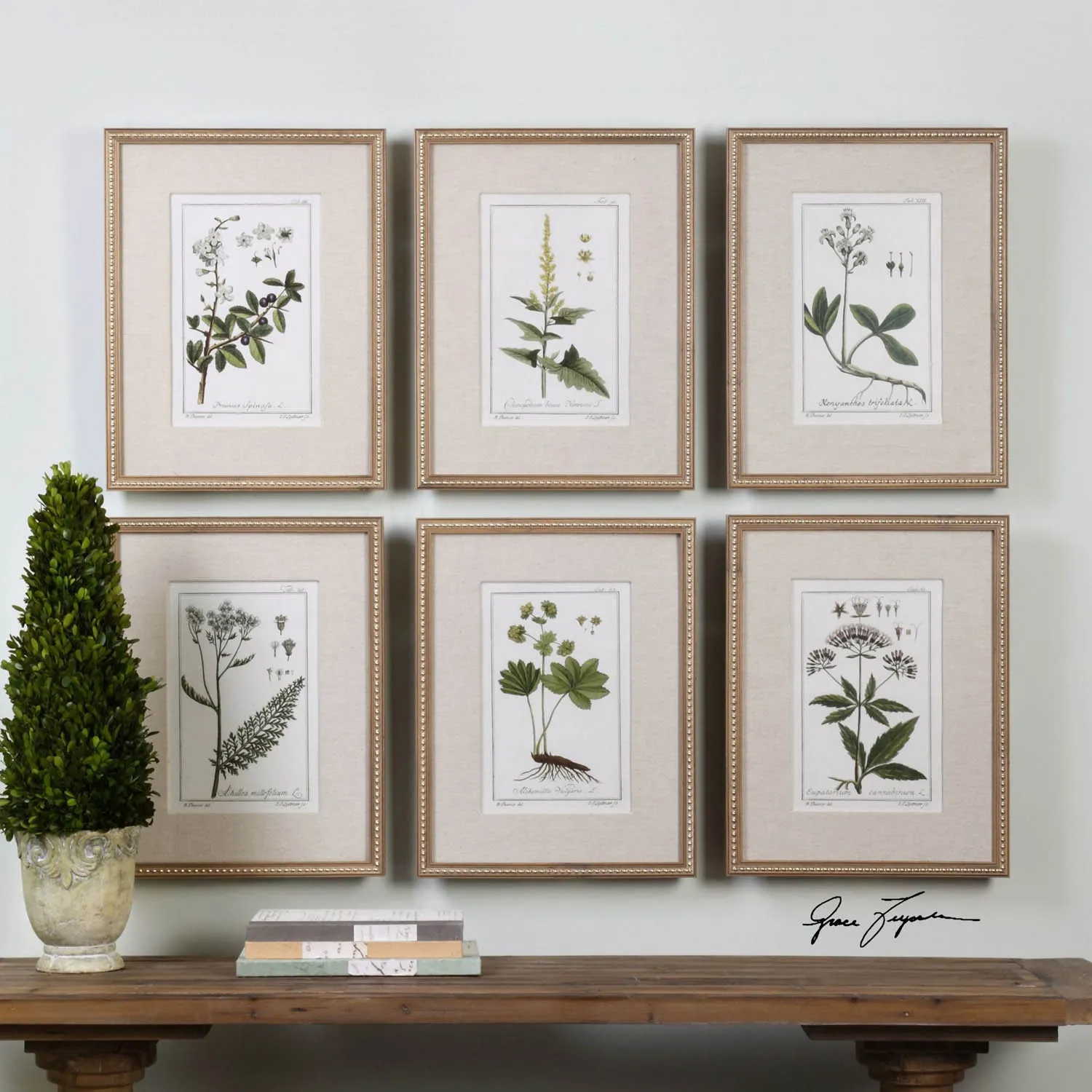 Lunara Botanical Gold Leaf Frame Illustration Set - Beige