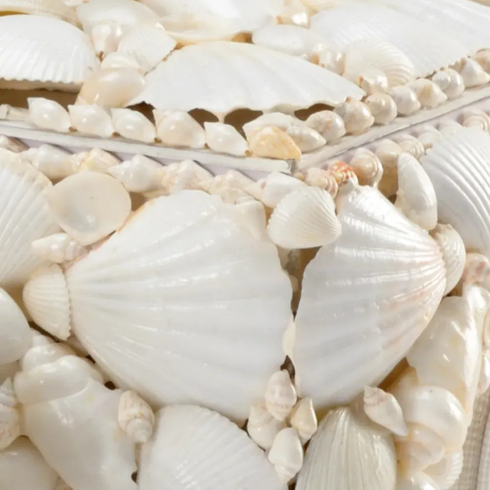 Lupis Coastal Beach Decorative Boxes Set of 3 - White, Shell