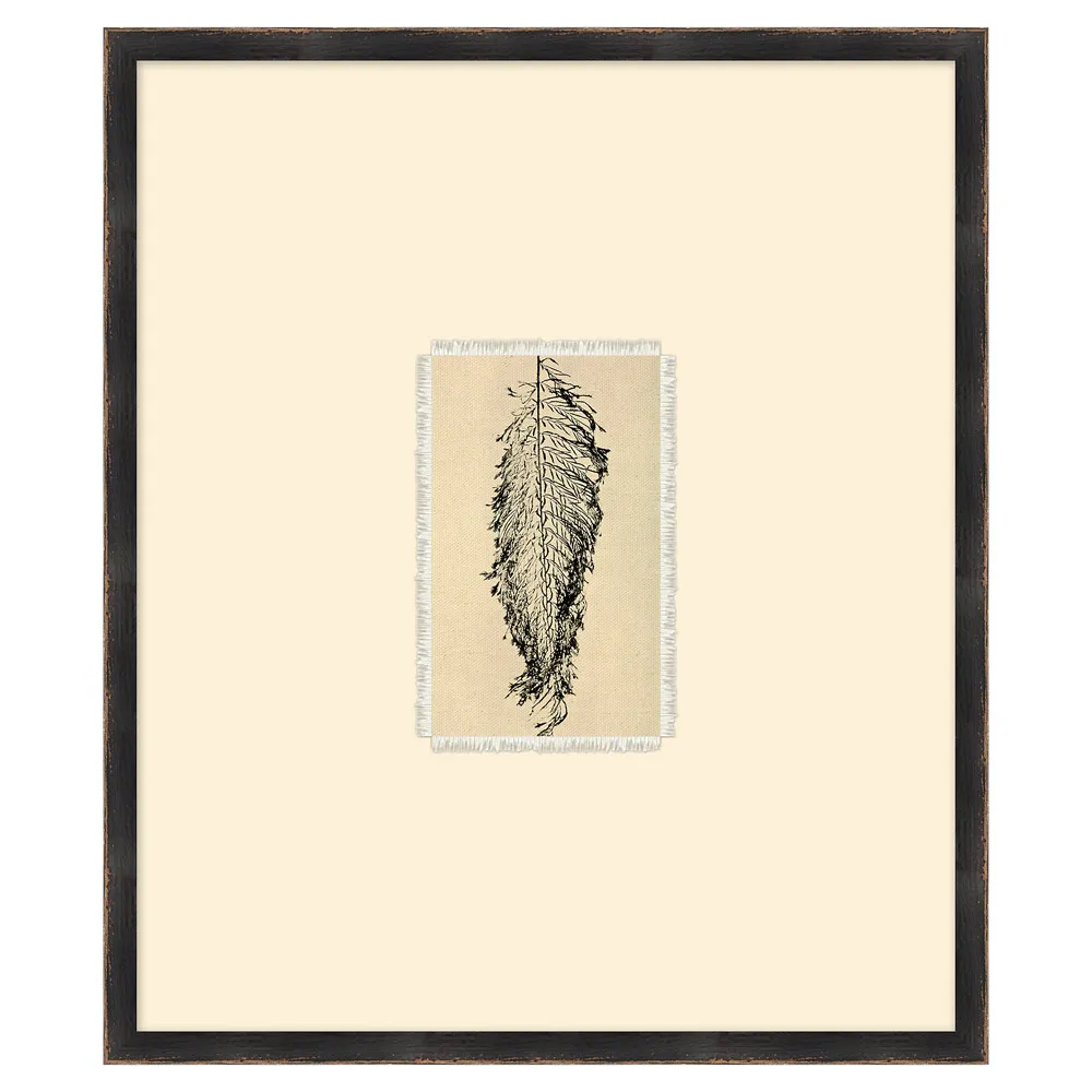 Mabel Fern Botanical Frame Illustration 1 - Black, Canvas image