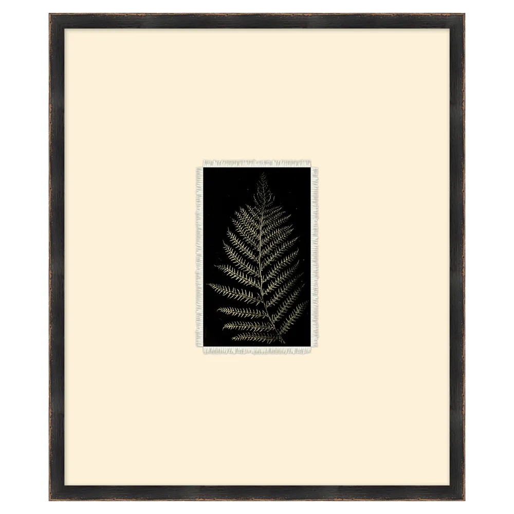 Mabel Fern Botanical Frame Painting 3 - Black, Canvas