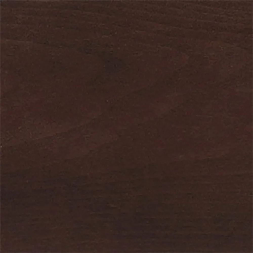 Madeline Upholstered Arm Chair with Casters - Butterscotch, Leather