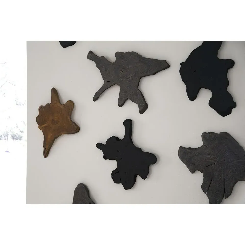 Marcello Slice Wall Sculpture - Black, Teak Wood