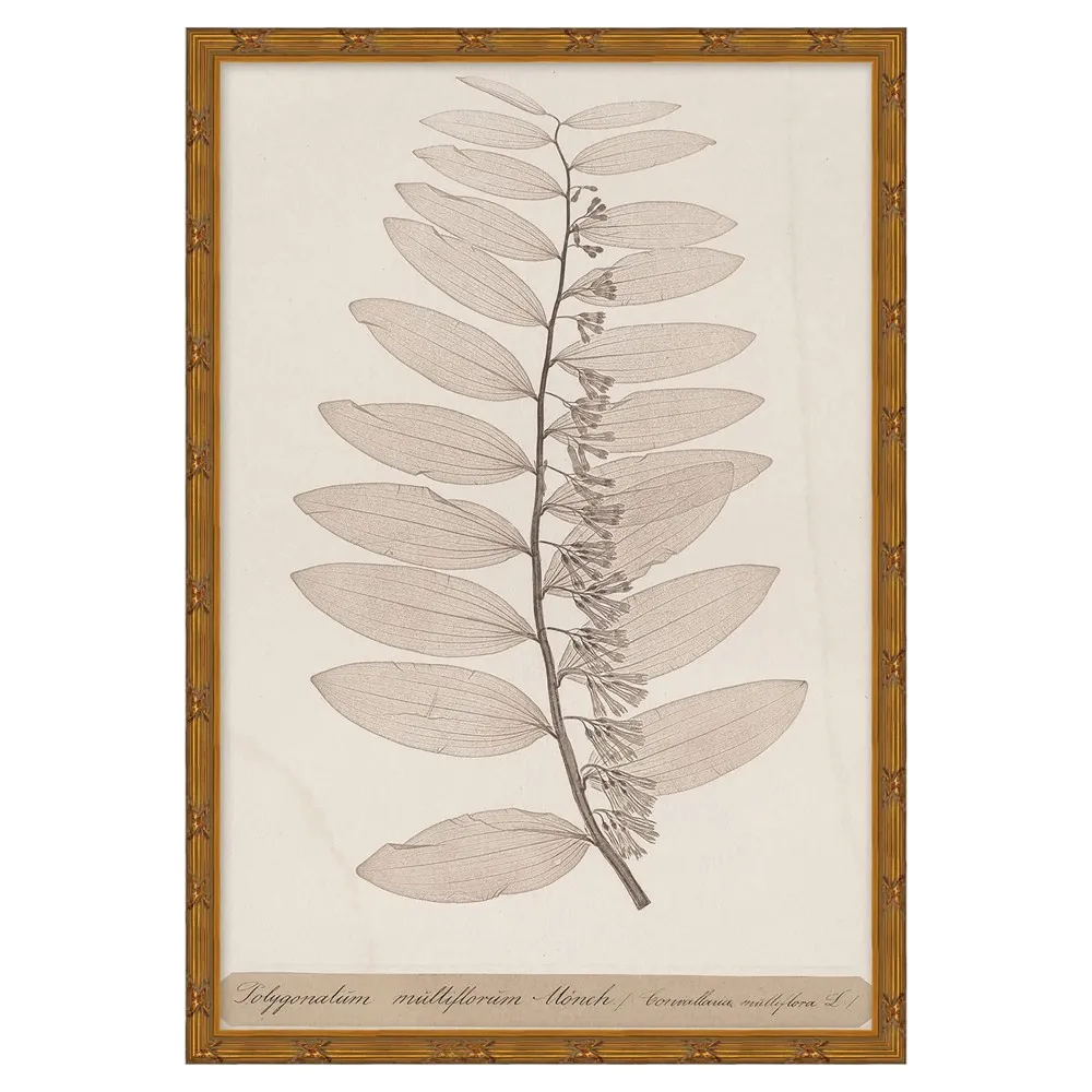 Marie Botanical Gold Leaf Illustration 2 - Pink