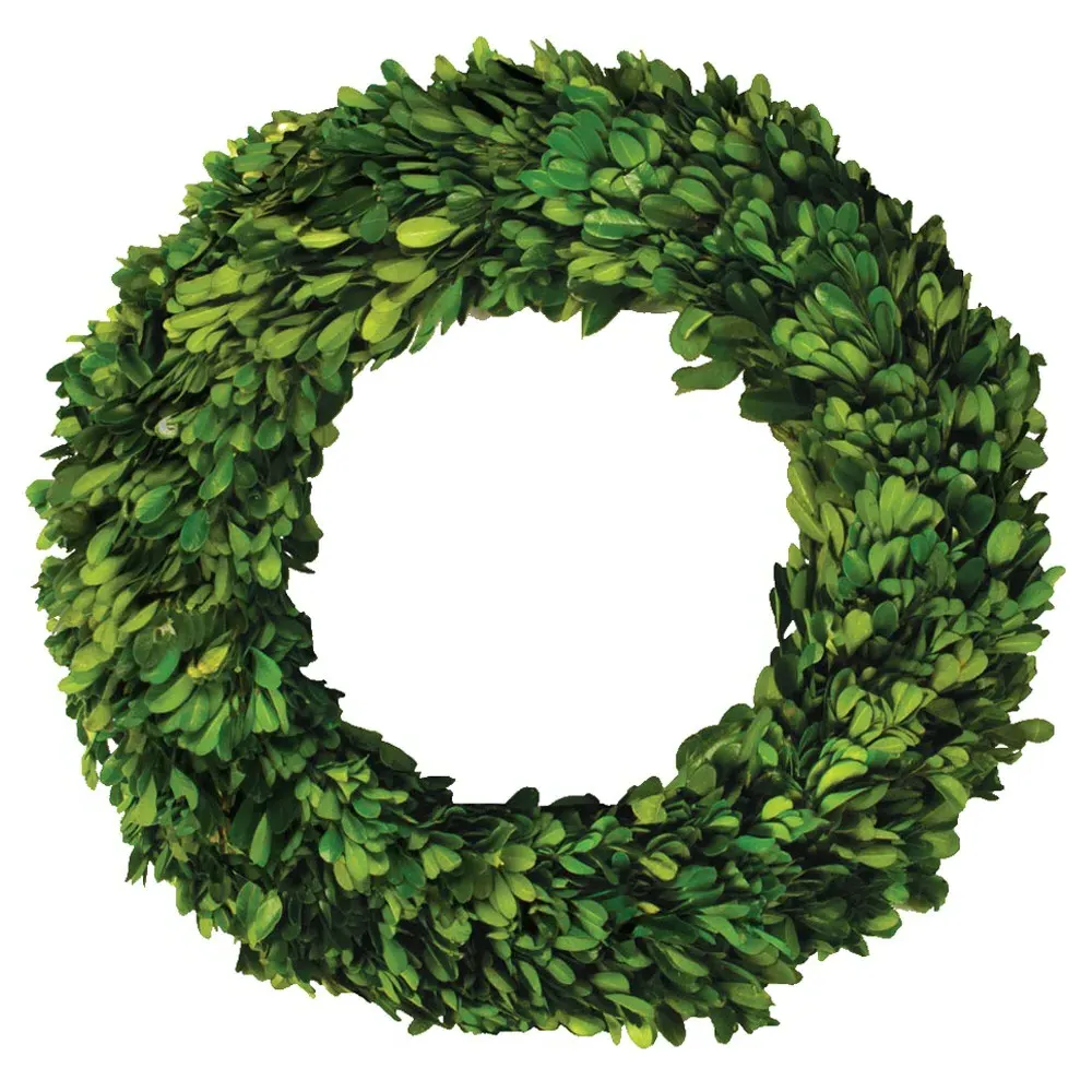 Marin 12" Boxwood Wreath - Green image