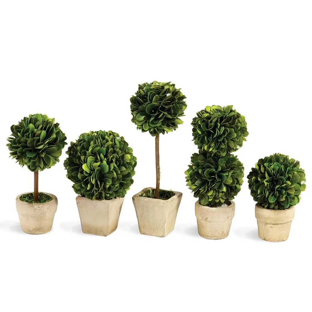 Marin Boxwood Potted Mini Topiaries Set of 5 - Green image