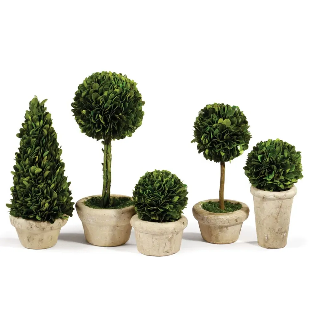 Marin Boxwood Potted Topiaries Set of 5 - Green