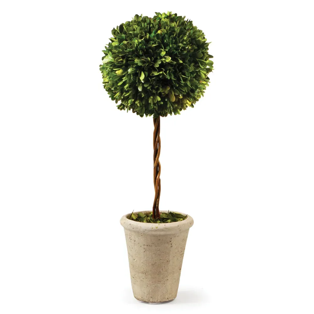 Marin Large Single Sphere Topiary - Green, Boxwood