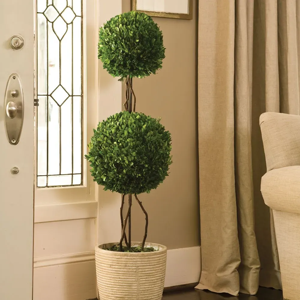 Marin Medium Double Sphere Topiary - Green, Boxwood