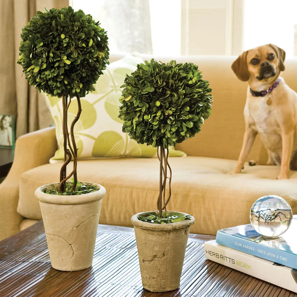 Marin Small Single Sphere Topiary - Green, Boxwood