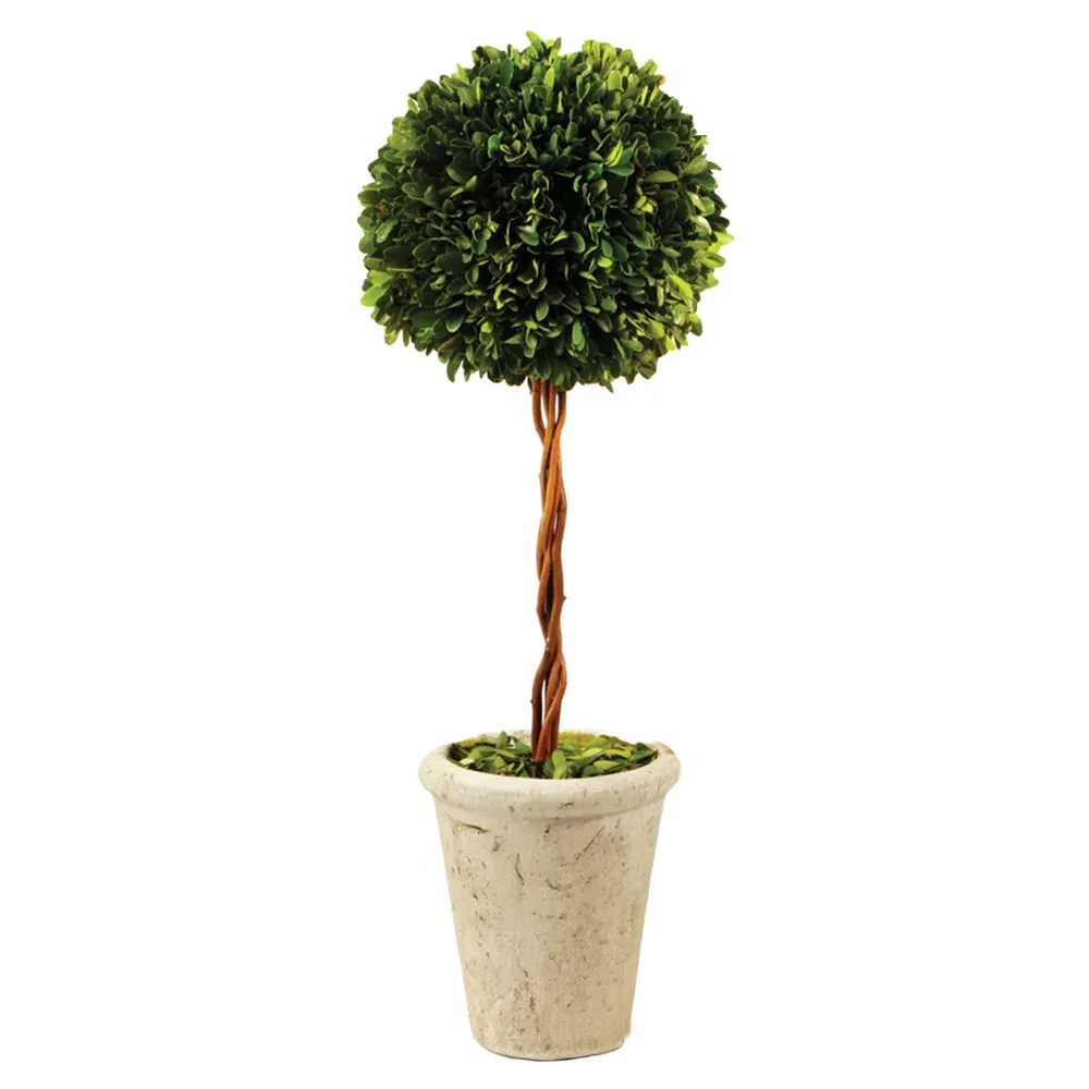 Marin Small Single Sphere Topiary - Green, Boxwood image
