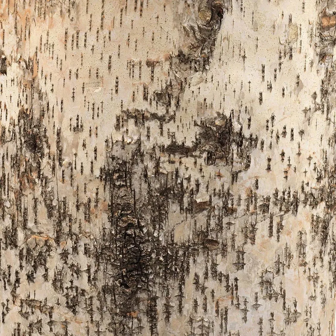 Mason Oval Shade Table Lamp - Brown, Birch