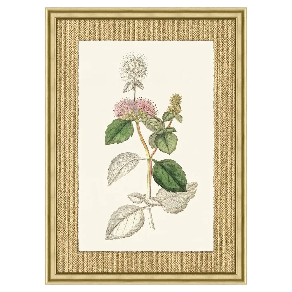 Mavis Botanical Gold Frame Illustration 5 - Green