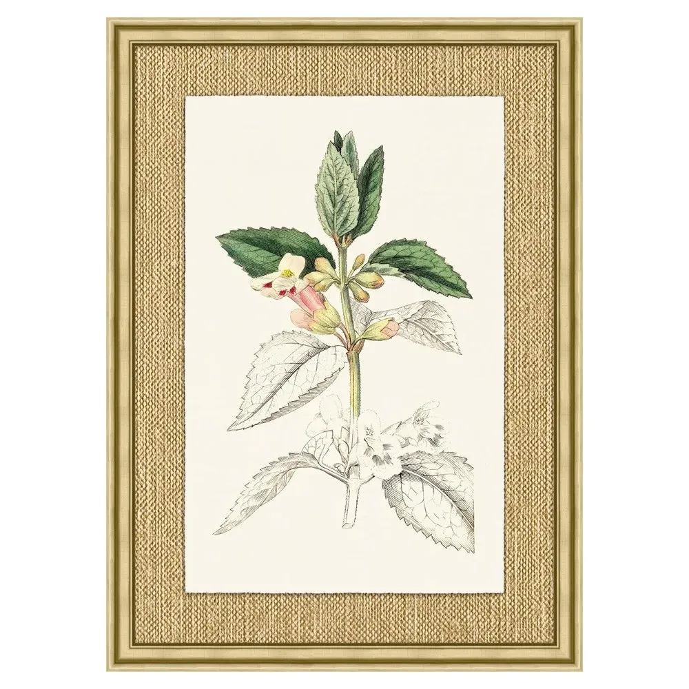 Mavis Botanical Gold Frame Illustration 6 - Green