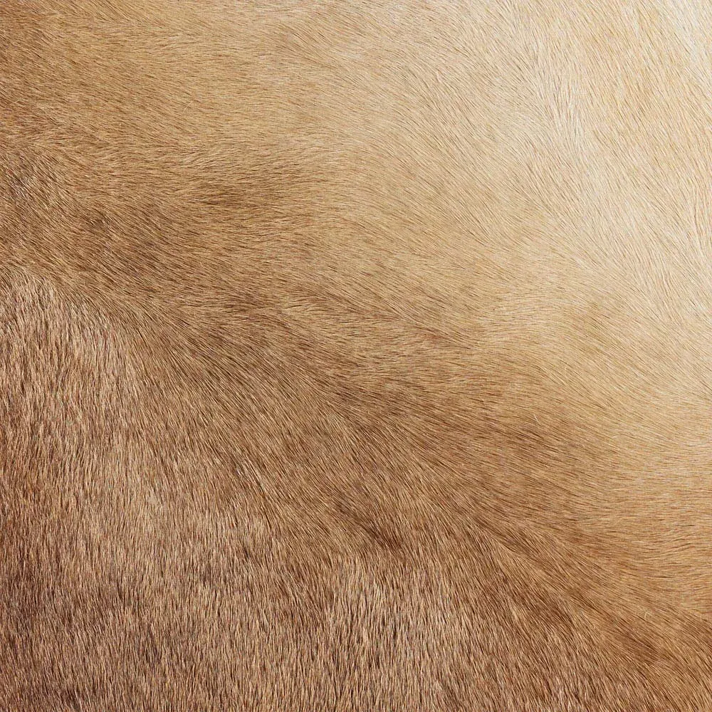 Maynard Counter Stool - Speckled Hide, Iron