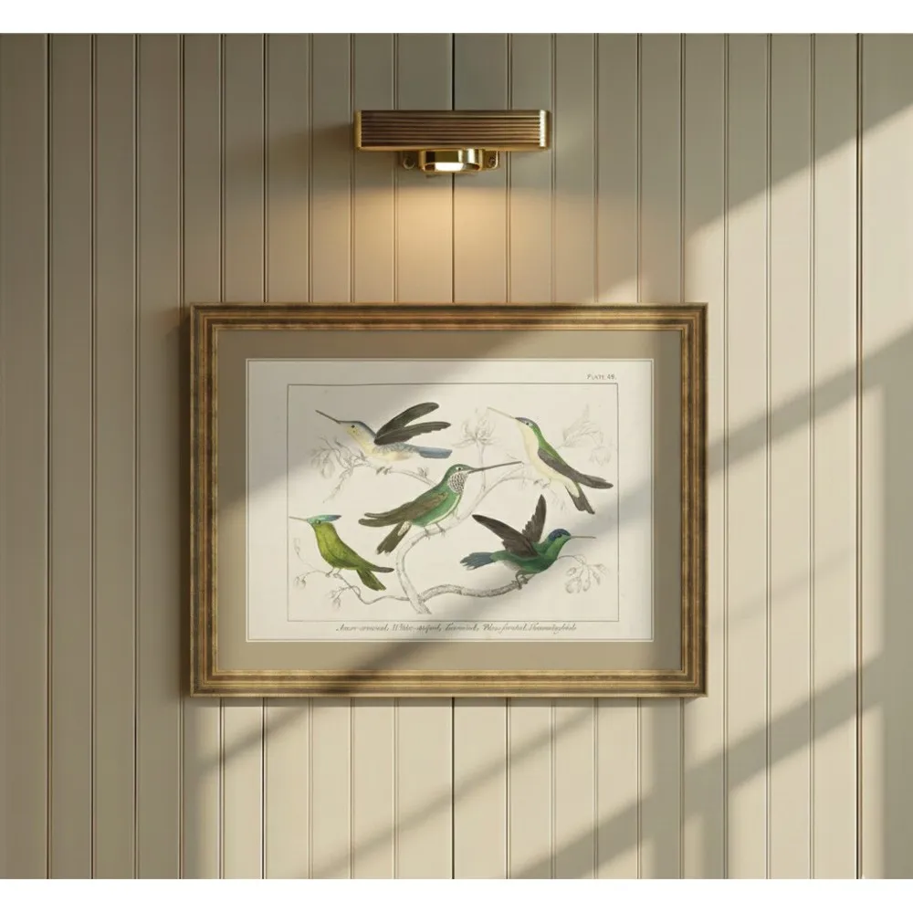 Meridee Hummingbird Gold Frame Illustration - Green
