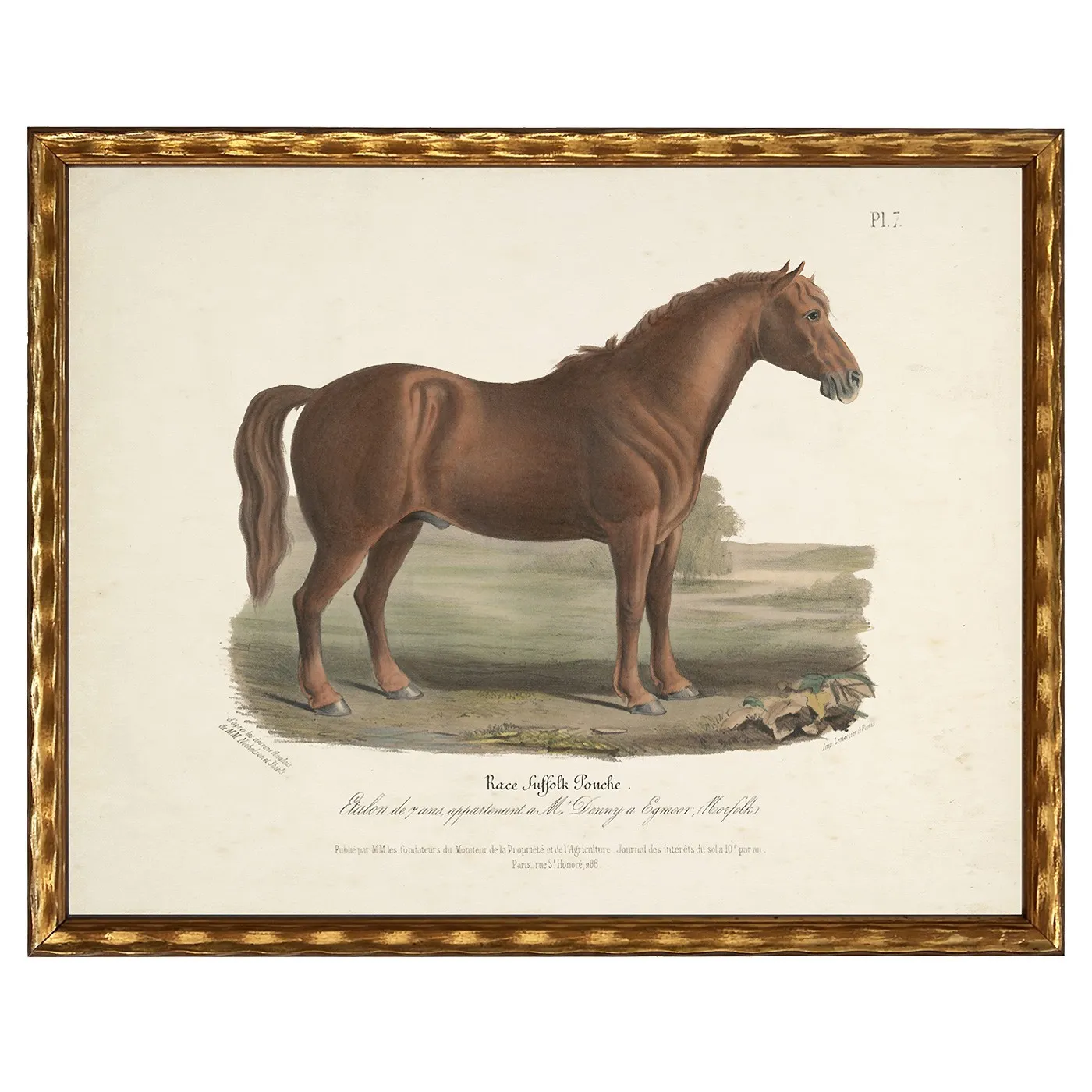 Merrick Horse Illustration Frame - Brown, Gold