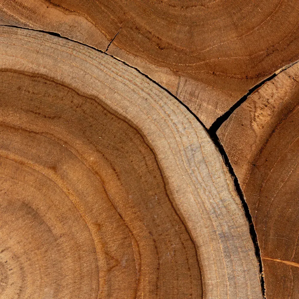 Micah Teak Root Block End Table - Brown