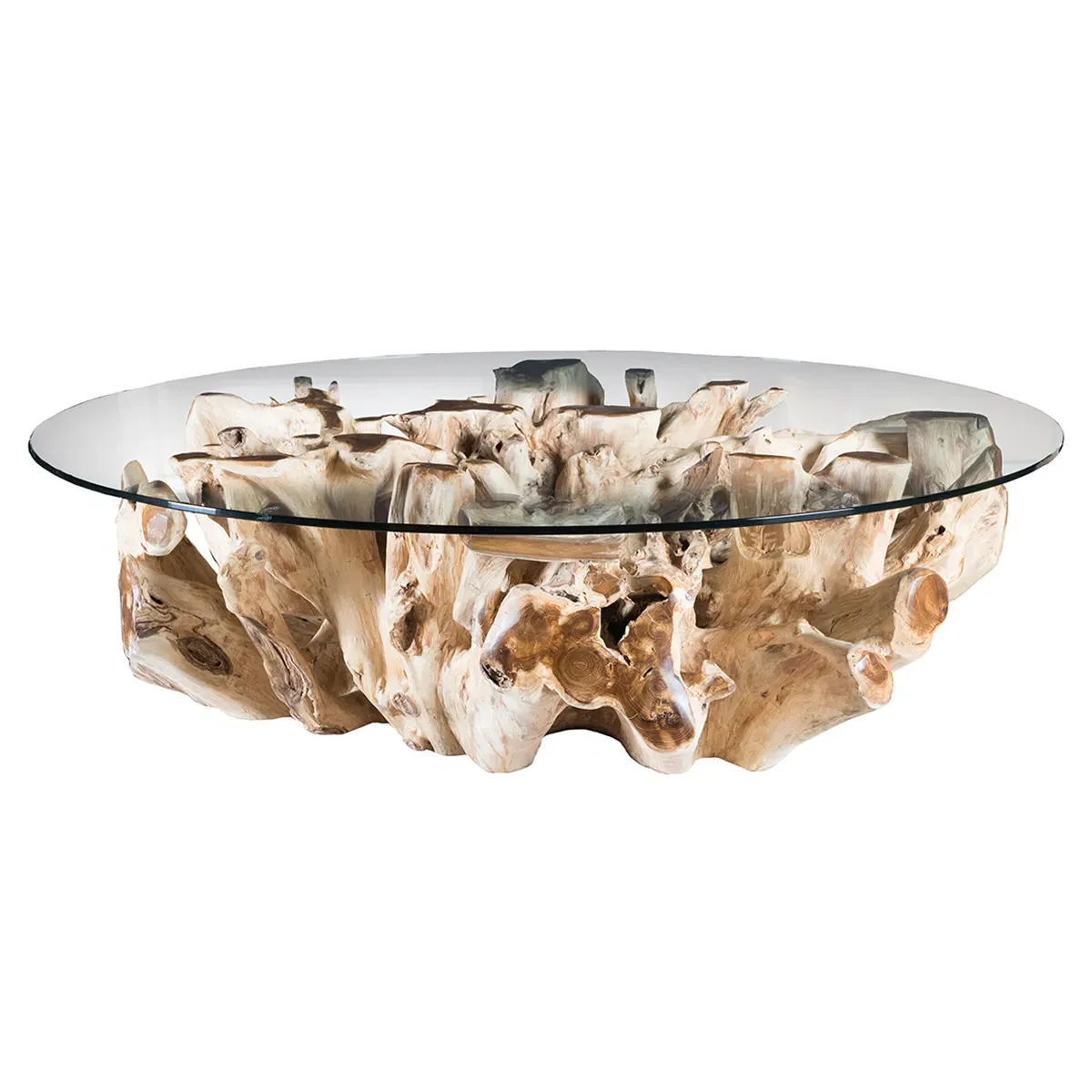 Natasha Coffee Table with Glass Top - Natural, Teak Root