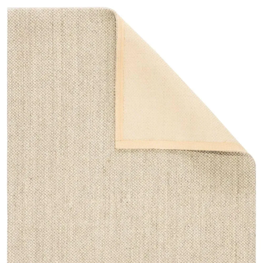 Neville 8x10 Sisal Border Rug - Taupe, Sisal