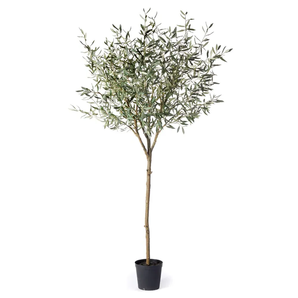 Nicholas French Country 96" Olive Tree Faux Plant - Green image