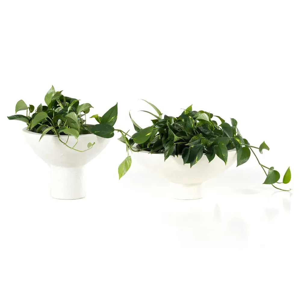 Parrey Outdoor Pot Planter Set - White, Concrete