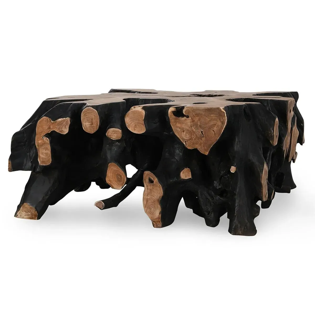 Prescy Square Teak Root Coffee Table - Black, Brown
