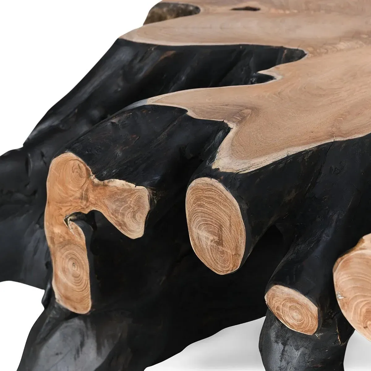 Prescy Square Teak Root Coffee Table - Black, Brown