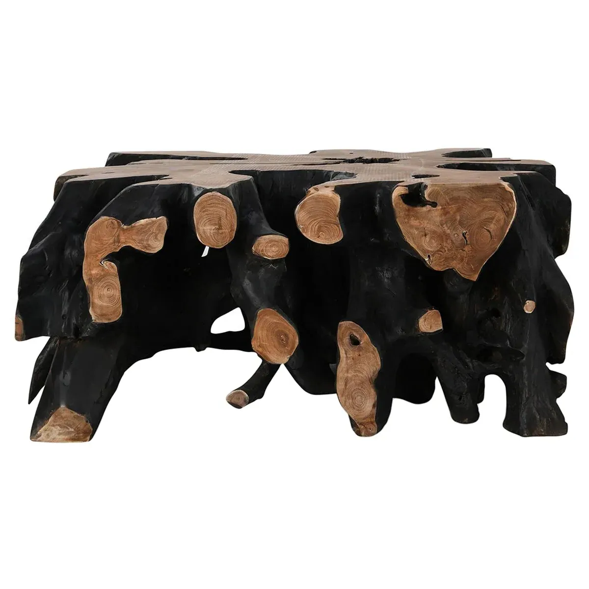 Prescy Square Teak Root Coffee Table - Black, Brown