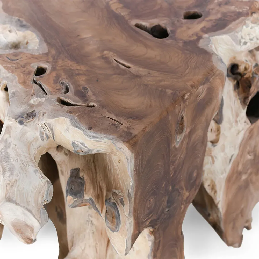 Prescy Square Teak Root Coffee Table - Natural