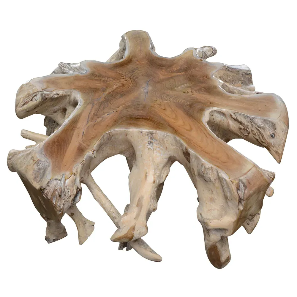 Prescy Teak Wood Root Coffee Table - Natural White Wash