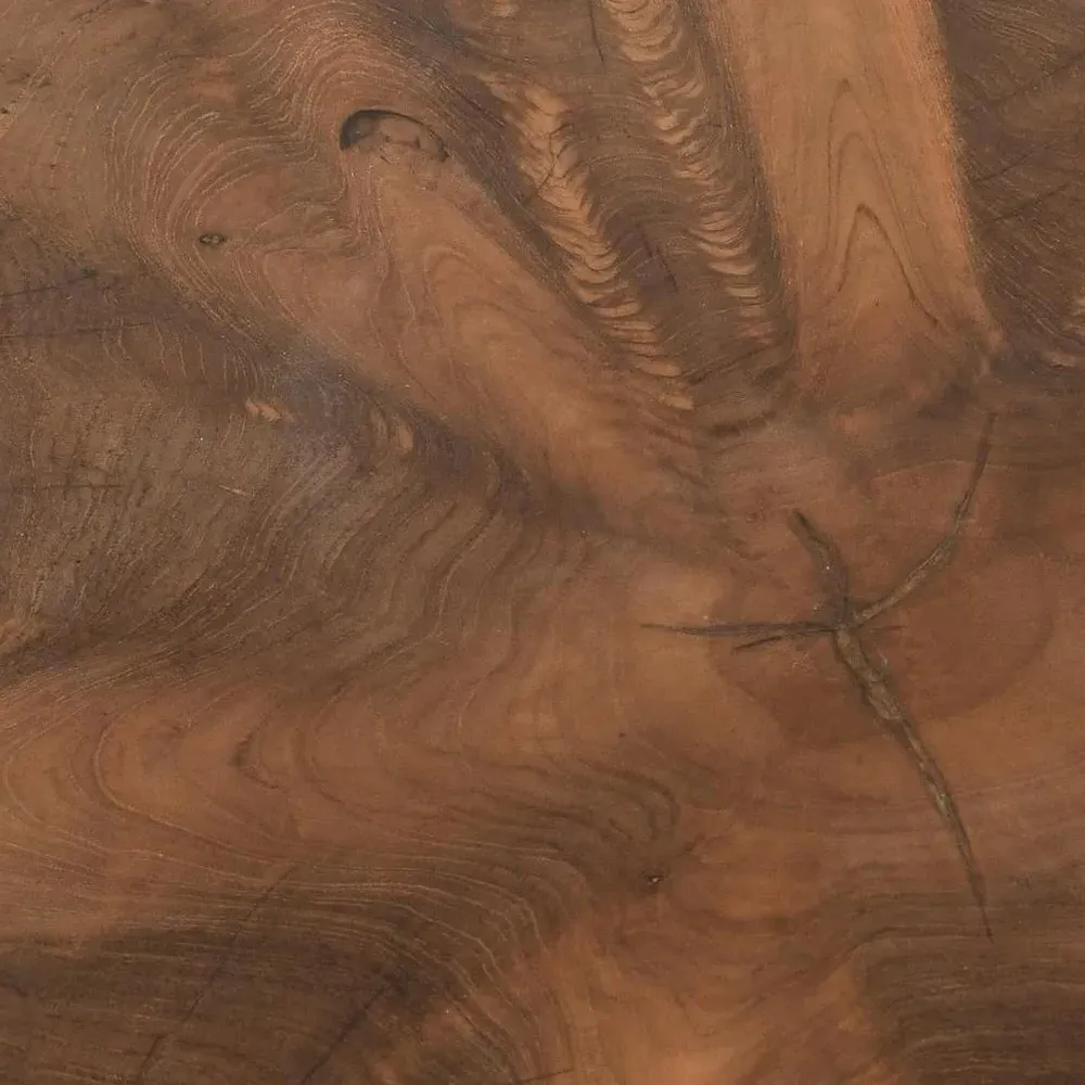 Prescy Teak Wood Root End Table - Natural Brown