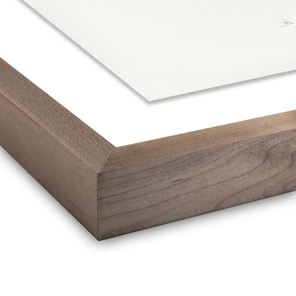 Redwood Burl Wall Art - Brown, Walnut