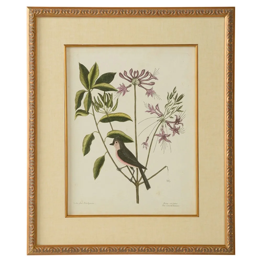 Renata Botanical Bird Gold Leaf Frame Illustration I - Green image