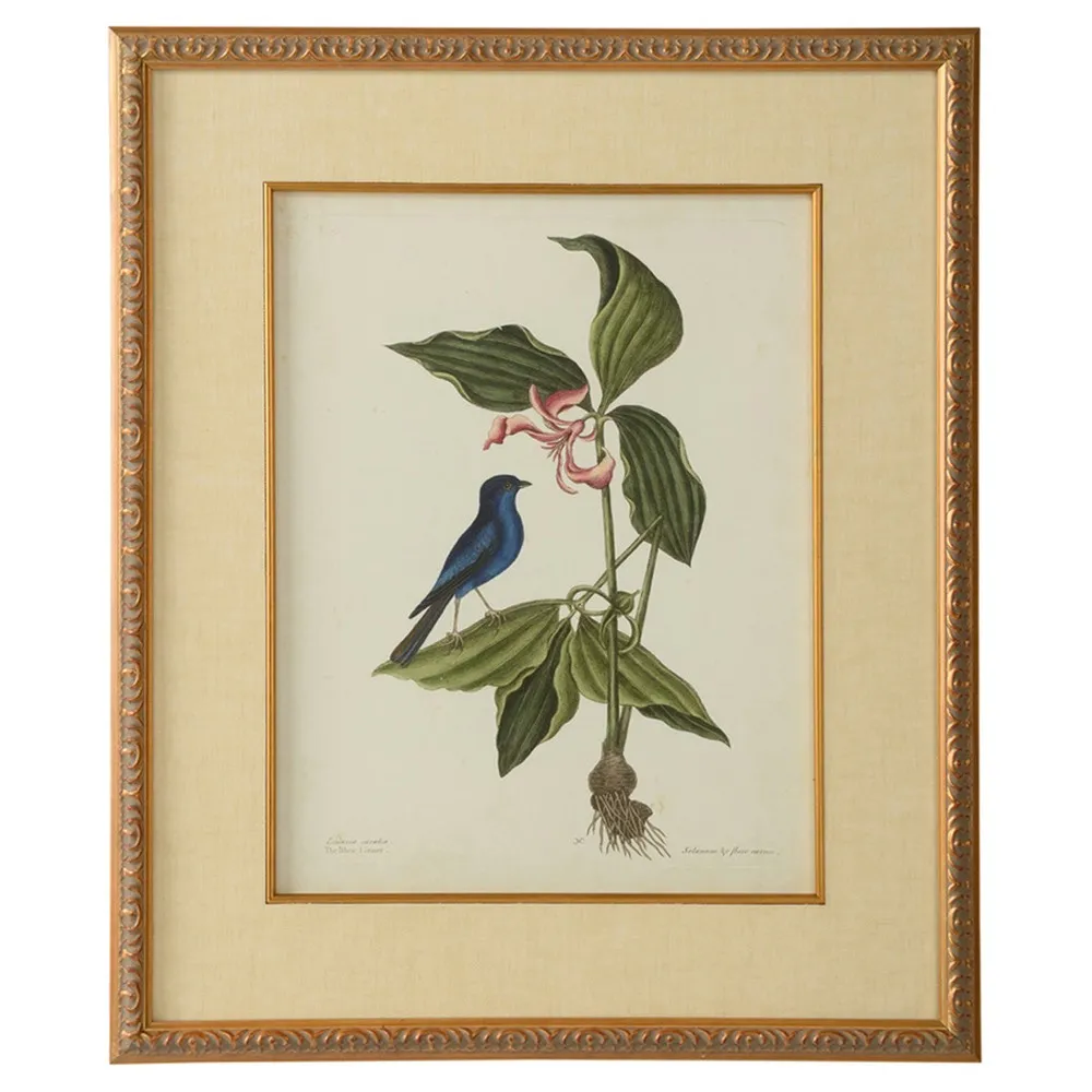 Renata Botanical Bird Gold Leaf Frame Illustration IV - Green
