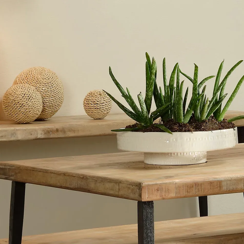 River Coastal Beach Round Ceramic Tray - White