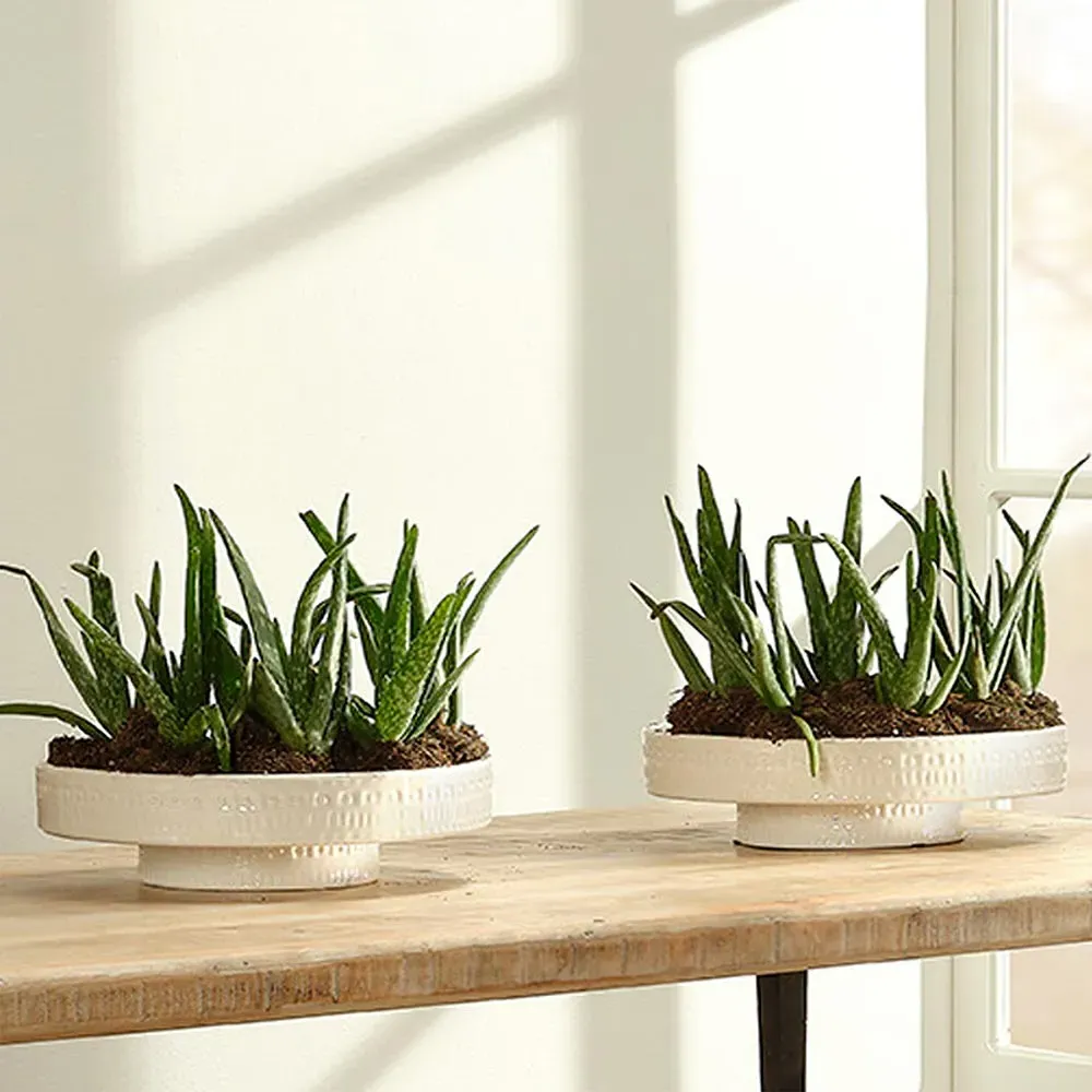 River Coastal Beach Round Ceramic Tray - White