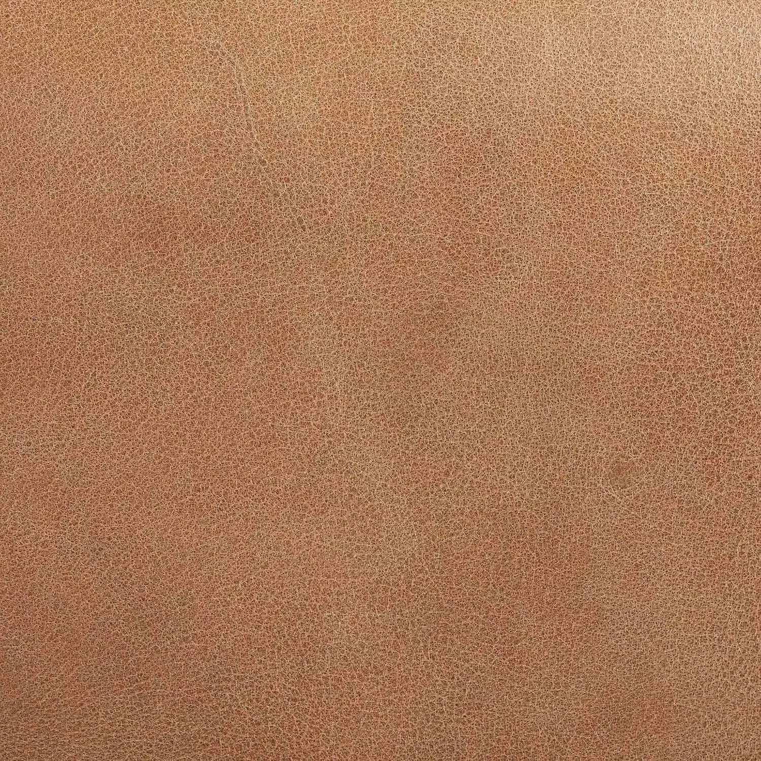 Robin Office Chair - Brown, Leather