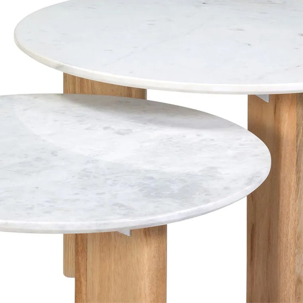 Roshan Nesting Coffee Tables - White, Marble