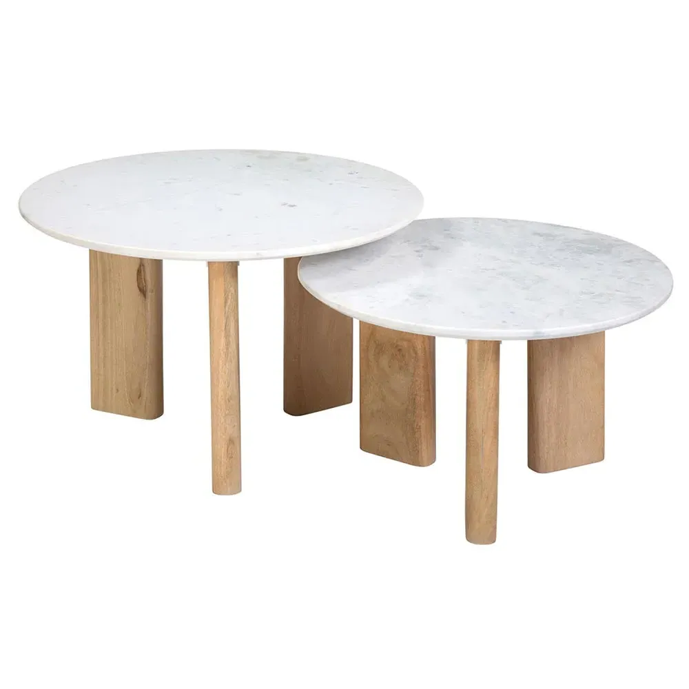 Roshan Nesting Coffee Tables - White, Marble image