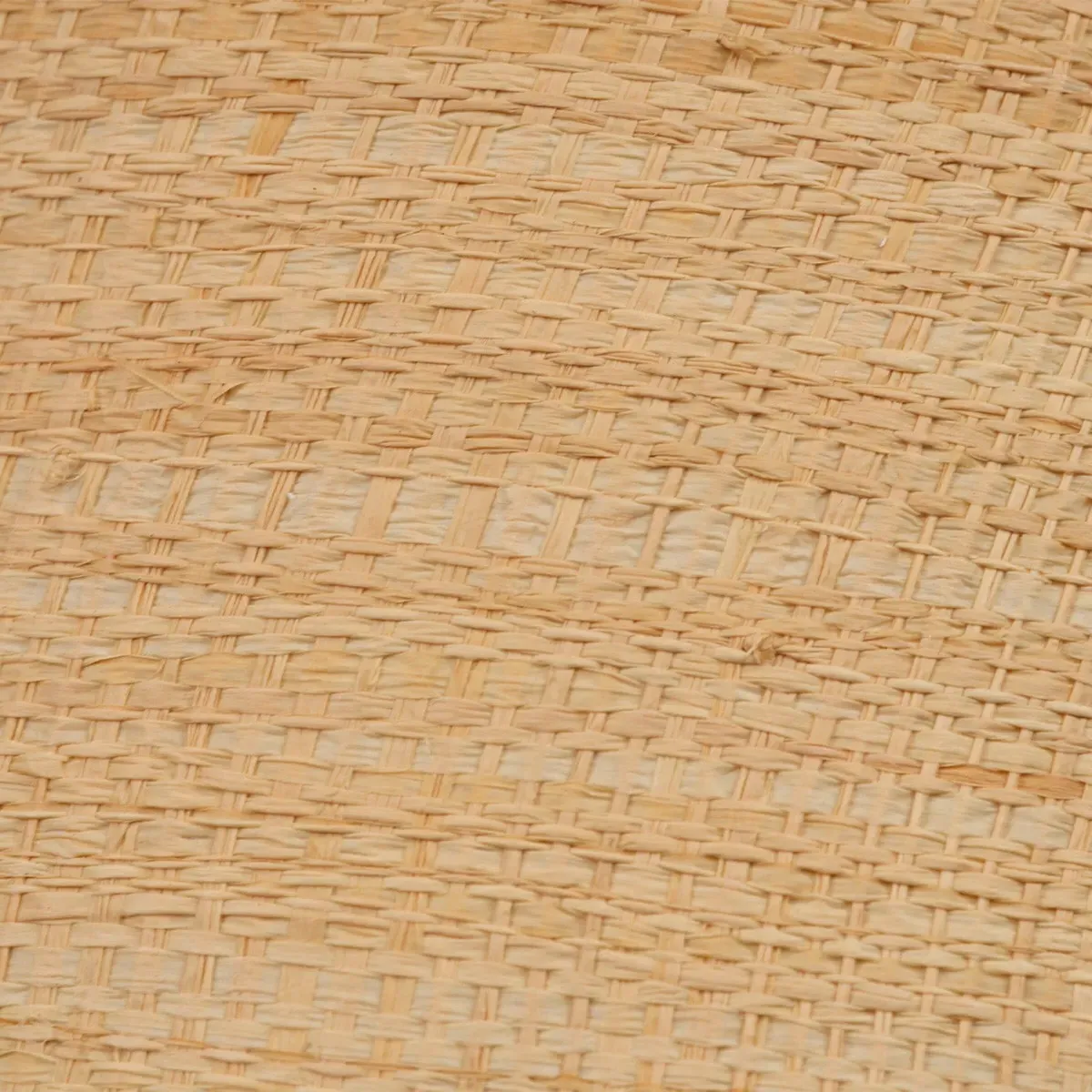 Rue Coastal Scalloped Single Pendant - Beige, Raffia